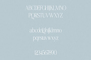 SUNLINE - Condensed & Elegant Serif, a Serif Font by Misha Sova (Thumbnail 7 of 8)