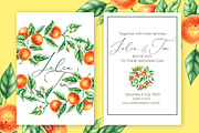 Tangerines Watercolor collection, a Decorative Illustration by SashaKondr (Thumbnail 7 of 14)