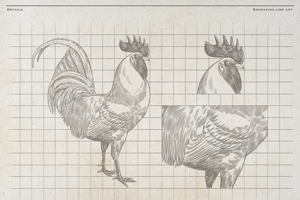 Vintage Poultry Farm Animal Set, an Animal Illustration by Kusumaillustration (Photo 5 of 11)
