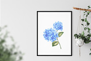 Watercolor Clipart Hydrangea flowers, a Decorative Illustration by Kotkoa (Thumbnail 5 of 12)
