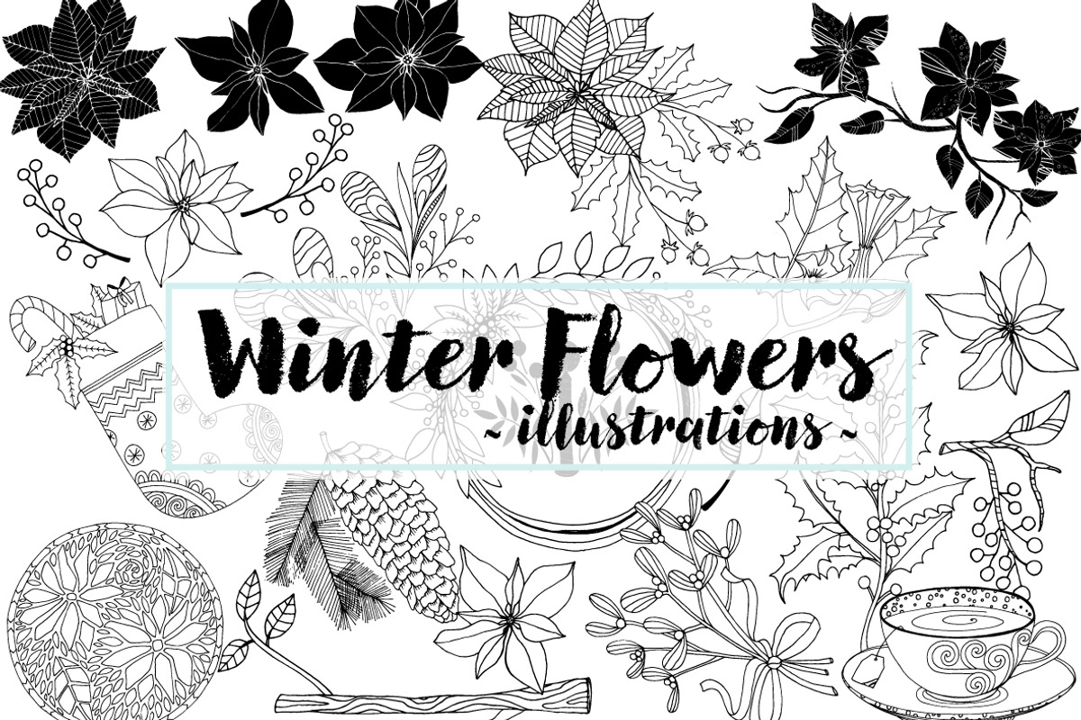 Vector Graphics Bundle, an Animal Illustration by Carrie Stephens Art (Photo 36 of 43)