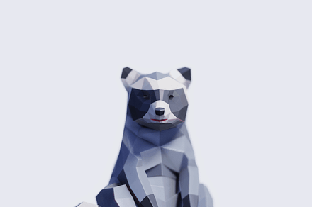 Raccoon, an Animal 3D Model by Studio Ochi
