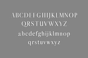 Jerrad Beautiful Serif 4 Font Family, a Serif Font by Creativetacos (Thumbnail 2 of 5)