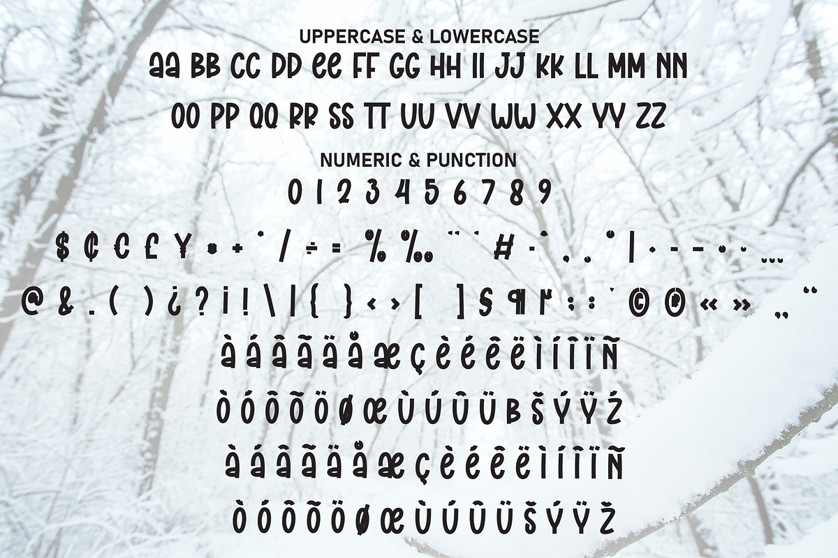 Snow Winter | Script Font, a Script Font by Scratchones (Photo 7 of 8)