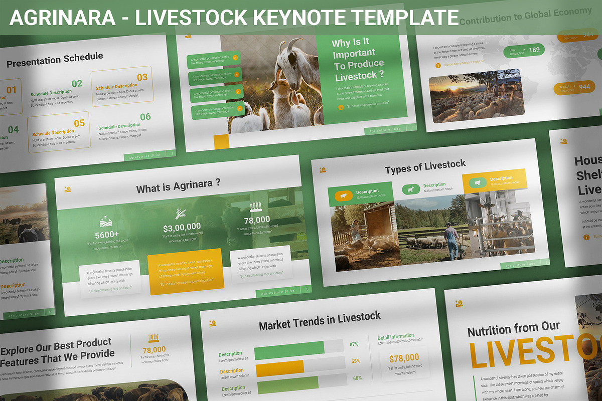Agrinara - Livestock Keynote, a Presentation Template by SlideFactory (Photo 1 of 4)