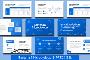 Bacteria Presentation Template, a Presentation Template by BumbleGraph Studio