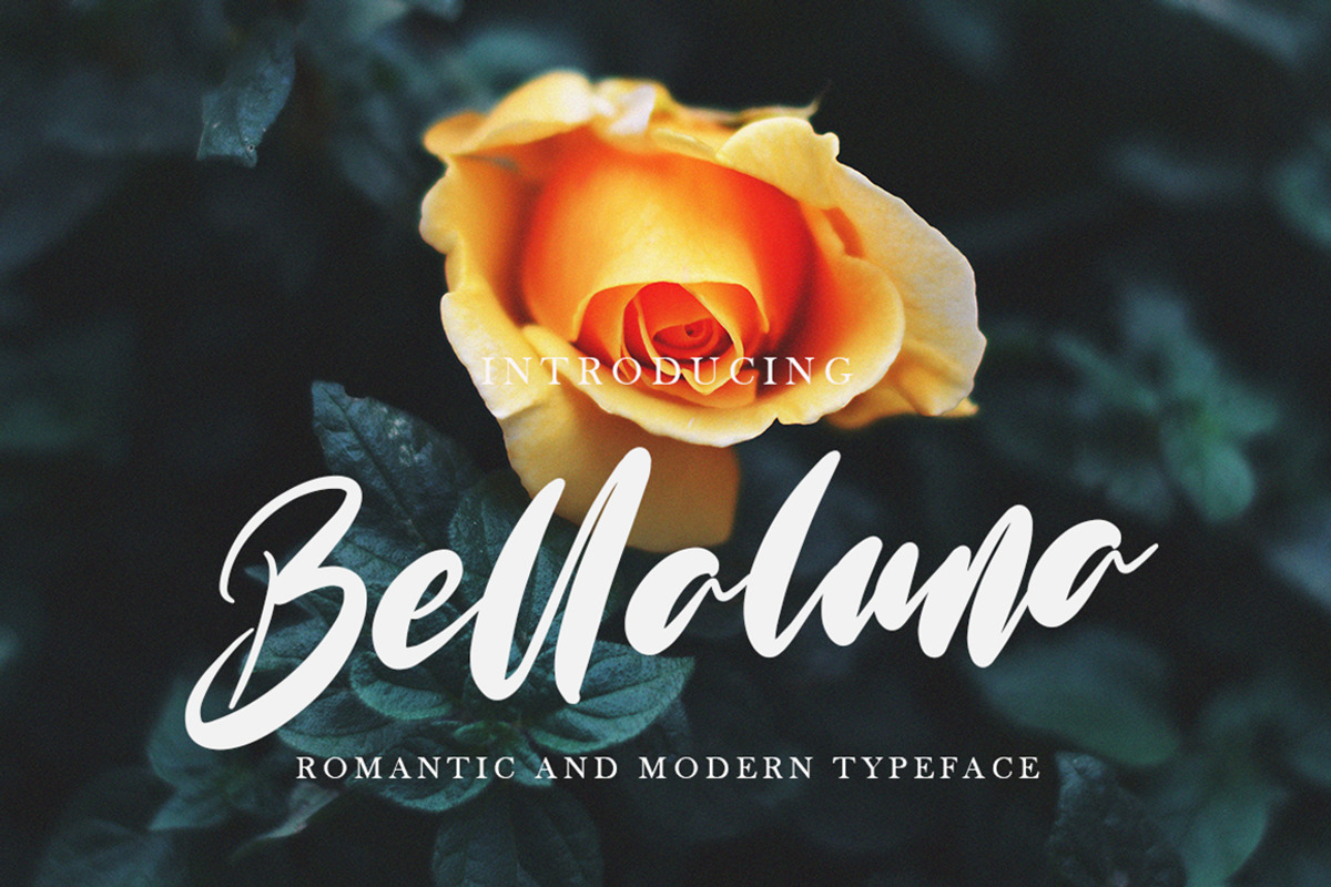 Bellaluna Black Friday