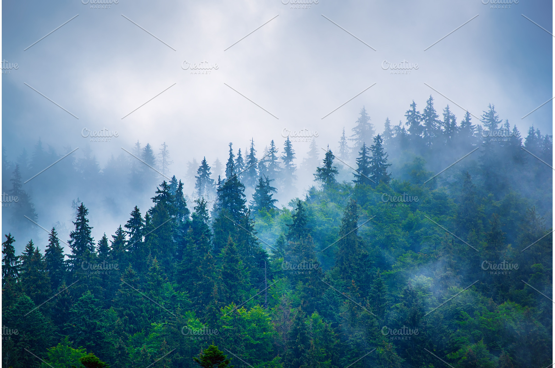 Misty mountain landscape, a Nature Photo by Nature and travel
