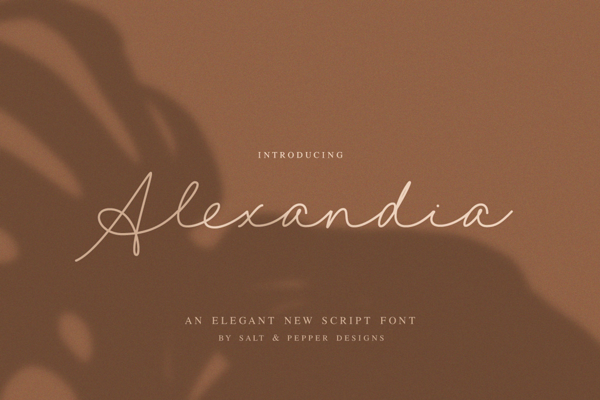 Alexandia Script Font, a Script Font by Salt & Pepper Designs (Photo 1 of 9)