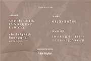 Raung Modern Ligature Serif, a Serif Font by Dylla_studio (Thumbnail 11 of 13)