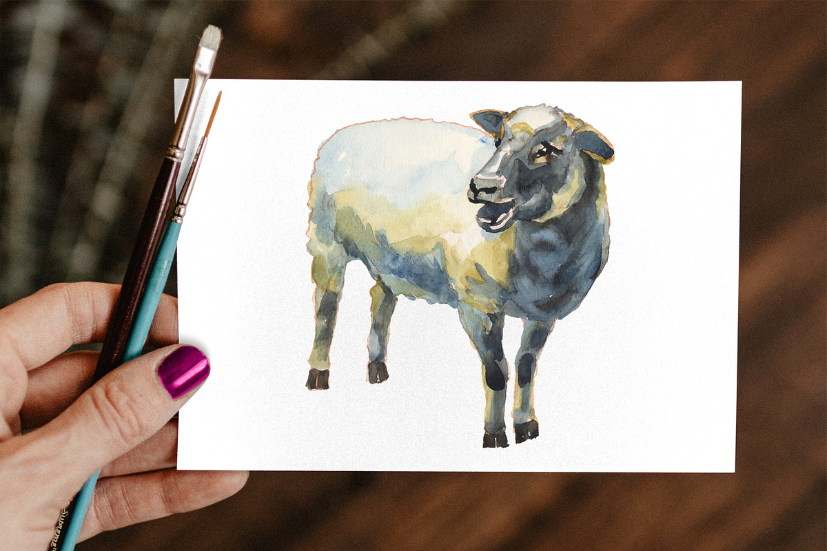 Sheep & Lambs watercolor set, an Animal Illustration by Malena (Photo 4 of 4)