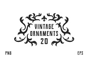 Vintage Flourish Ornaments., an Object Graphic by DenysHolovatiuk (Thumbnail 1 of 3)