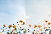 Vintage Summer Lightroom Presets, a Preset Add-On by PixaSquare (Thumbnail 3 of 13)