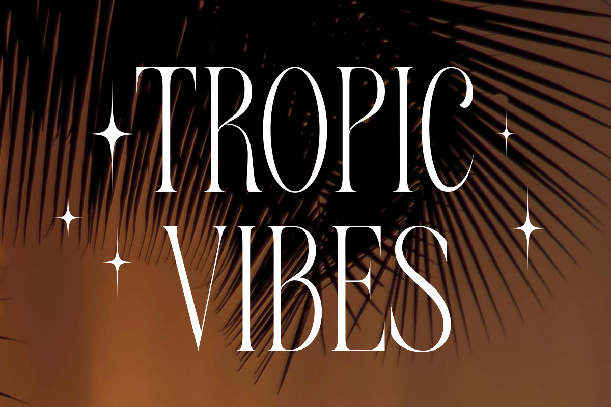 Pearl Tropical, a Serif Font by zaaintype (Photo 5 of 15)