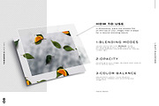 Leaf Shadows, a Templates & Theme by TANOSHII DESIGN (Thumbnail 10 of 10)
