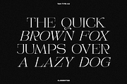TAN - CLEMENTINE, a Serif Font by TanType (Thumbnail 20 of 20)