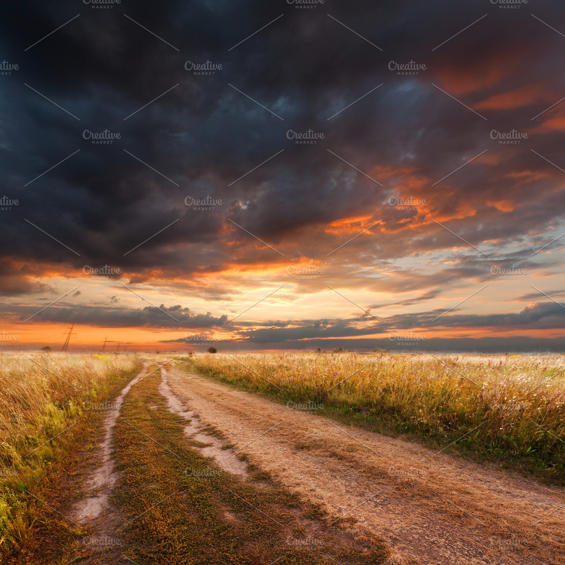 Evening sunset in the field, a Nature Photo by LALS STOCK