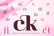 Famosa - Font Family, a Serif Font by TypeThis!Studio (Thumbnail 6 of 11)