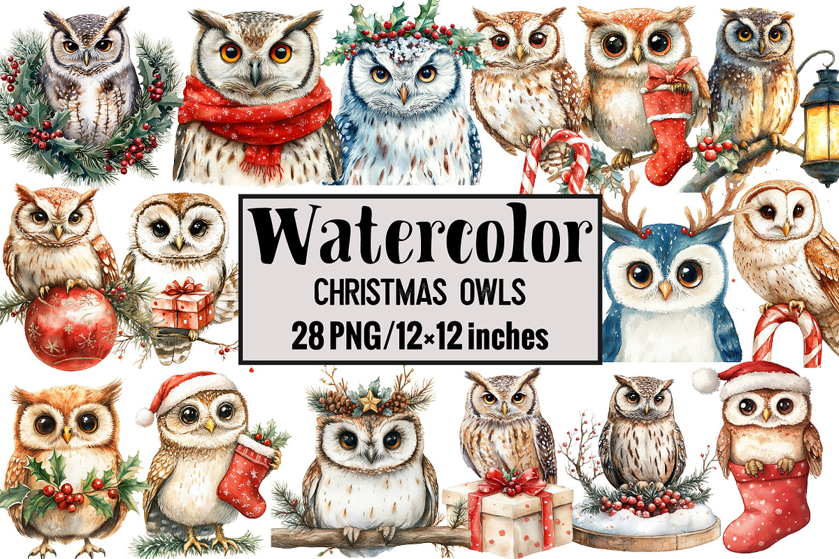Christmas Owls, an Illustration by Design Market (Photo 1 of 4)