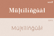 Calypso // A Modern Font Duo, a Serif Font by Megs Lang (Thumbnail 10 of 18)