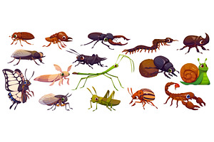Cartoon insect googly characters, an Animal Illustration by Vector Tradition