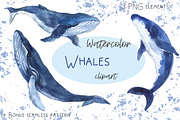 Watercolor whale Clipart Ocean whale, an Object Graphic by KomtsyanTatyanaArt (Thumbnail 1 of 4)
