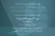 Serendipity Monoline Script font, a Script Font by mahstudios (Thumbnail 5 of 8)