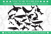 Blue Whale SVG, Shark, Whale SVG, an Object Graphic by VectorWorlds (Thumbnail 2 of 3)