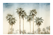 Palm Co · Peaceful Palm Tree Row, a Decorative Illustration by milatovar (Thumbnail 12 of 16)