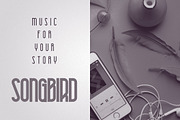 Art Deco Font Collection - 13 fonts, a Serif Font by VP Fonts (Thumbnail 11 of 14)