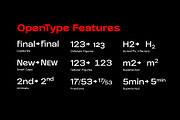 Frink Rio Modren Grotesk Font Family, a Sans Serif Font by Ryul Davidson (Thumbnail 15 of 20)