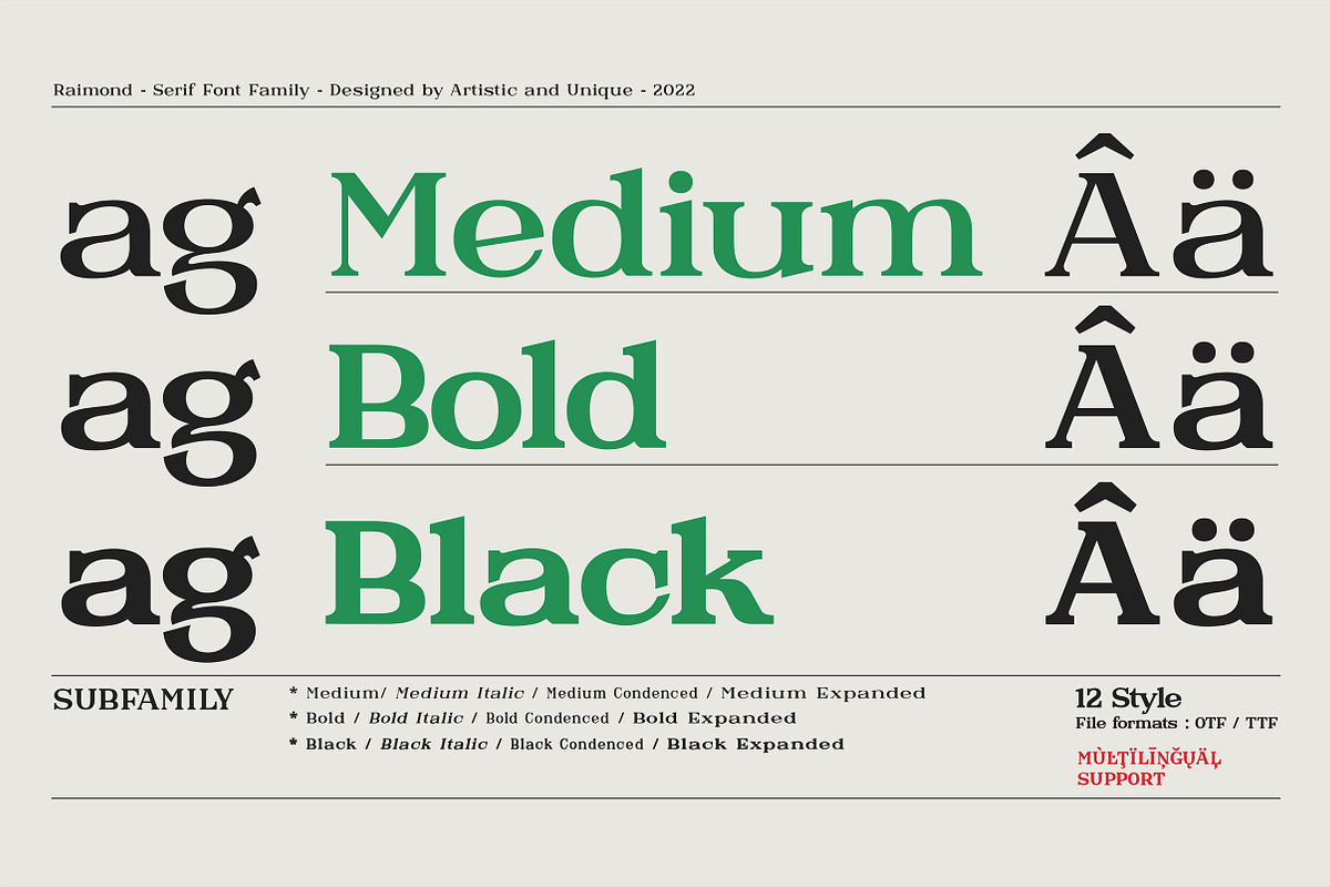 Raimond - Serif font family, a Serif Font by Artistic & Unique (Photo 2 of 15)