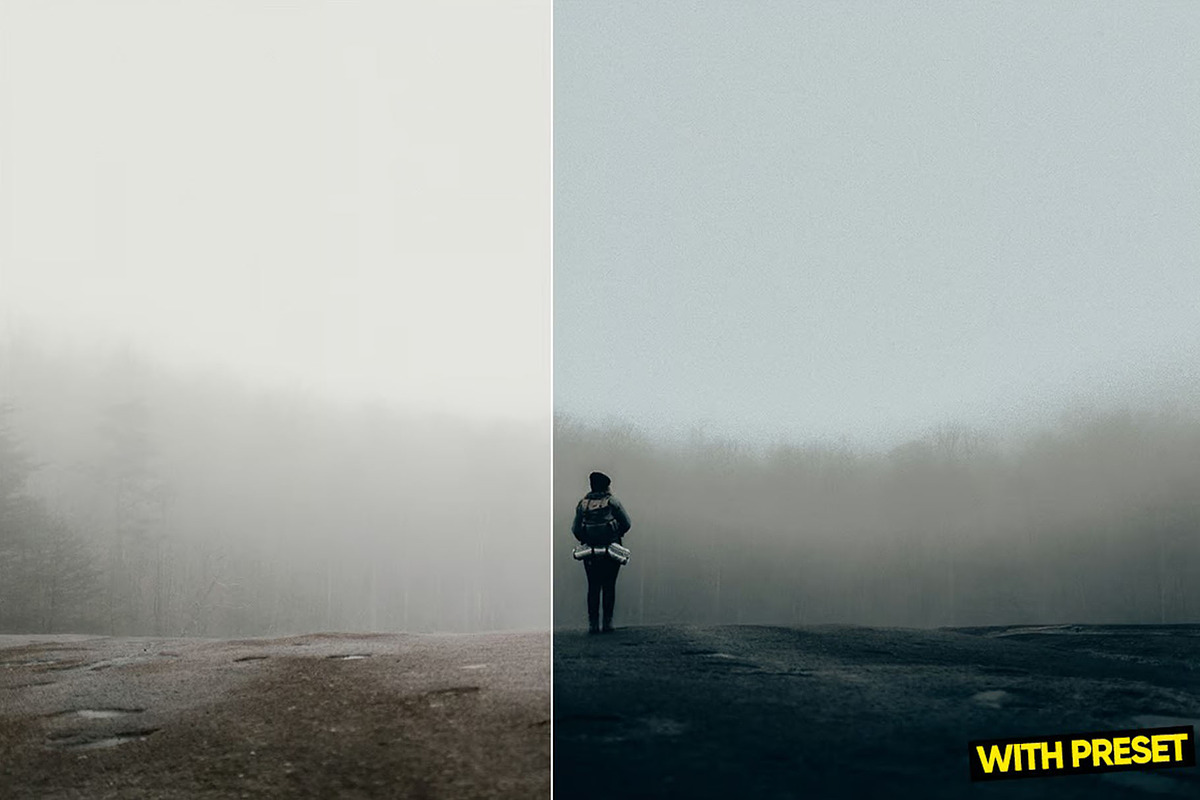 Mood Presets for Lightroom, a Preset Add-On by Hubzway (Photo 2 of 5)