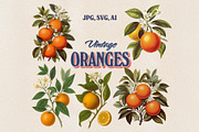Vintage Fruit & Berry Bundle PNG SVG, a Food Illustration by Marie T (Thumbnail 10 of 17)