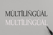 Sterla modern stylish typeface, a Serif Font by Font Kingdom (Thumbnail 8 of 9)