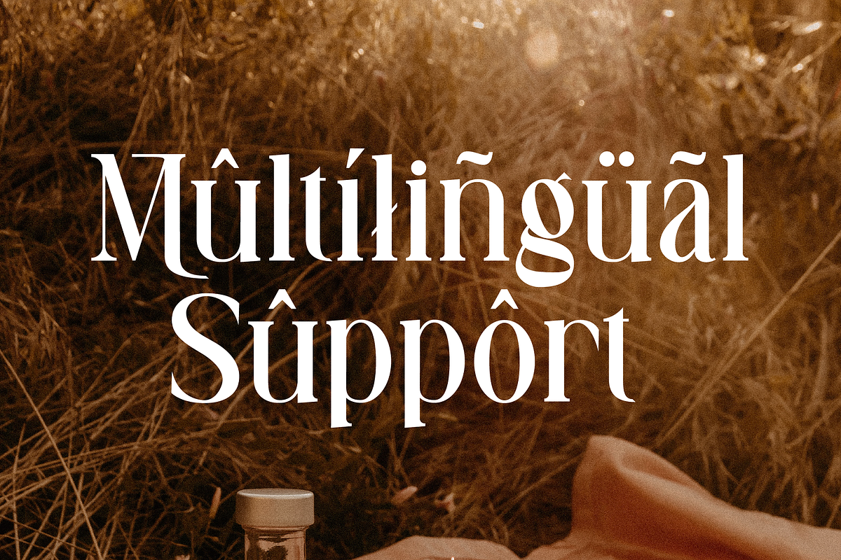 Ravegic Display Serif, a Serif Font by Randi Irvan | Rvandtype (Photo 9 of 10)