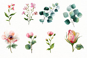Romance Floral, Watercolor clipart, an Illustration by Designworld (Thumbnail 2 of 5)