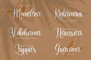 Dilan Whemsy - Modern Script Font, a Script Font by StringLabs (Thumbnail 4 of 11)