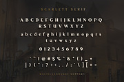Scarlett Font Bundle, a Script Font by Swistblnk Std. (Thumbnail 13 of 16)