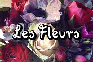 DeBouffet Font Family 