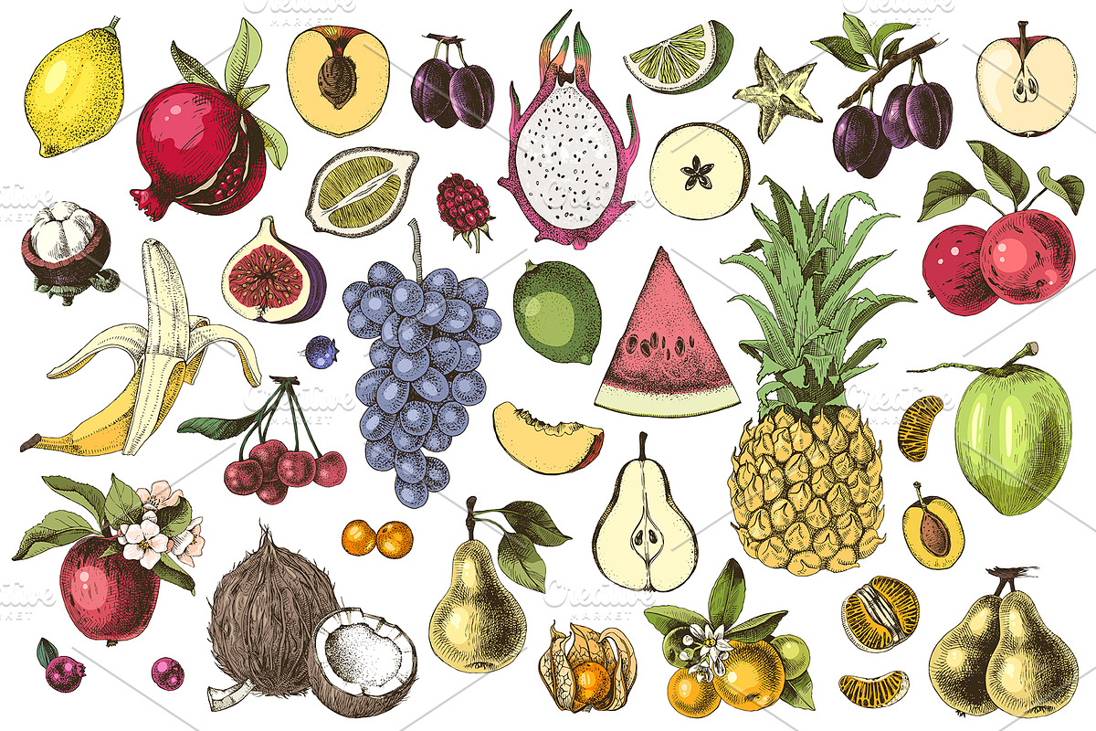 Natural food BUNDLE, a Food Illustration by handsketched (Photo 10 of 26)