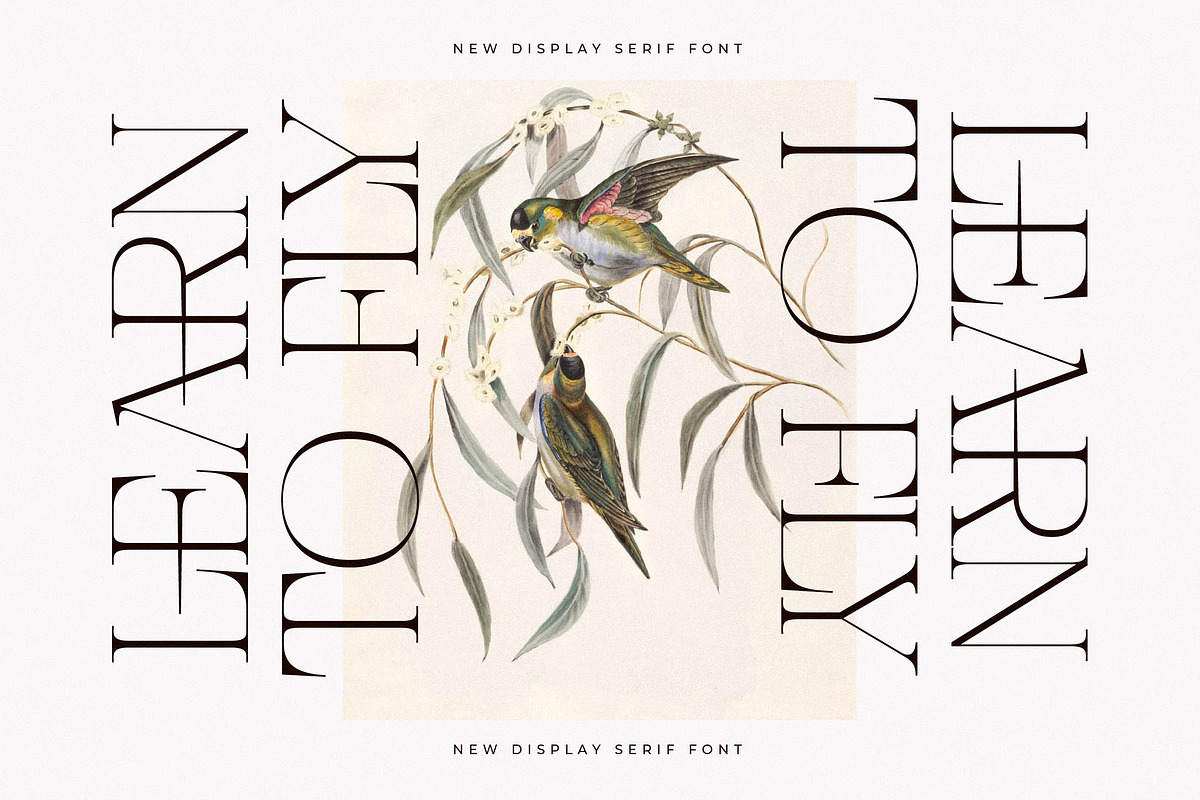 Nocashe New Display Serif Font, a Serif Font by Storytype Studio (Photo 2 of 15)