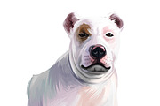Mastiffs and Pugs 34 PSD Dogs Set, an Animal Illustration by Dneprstock (Thumbnail 11 of 15)