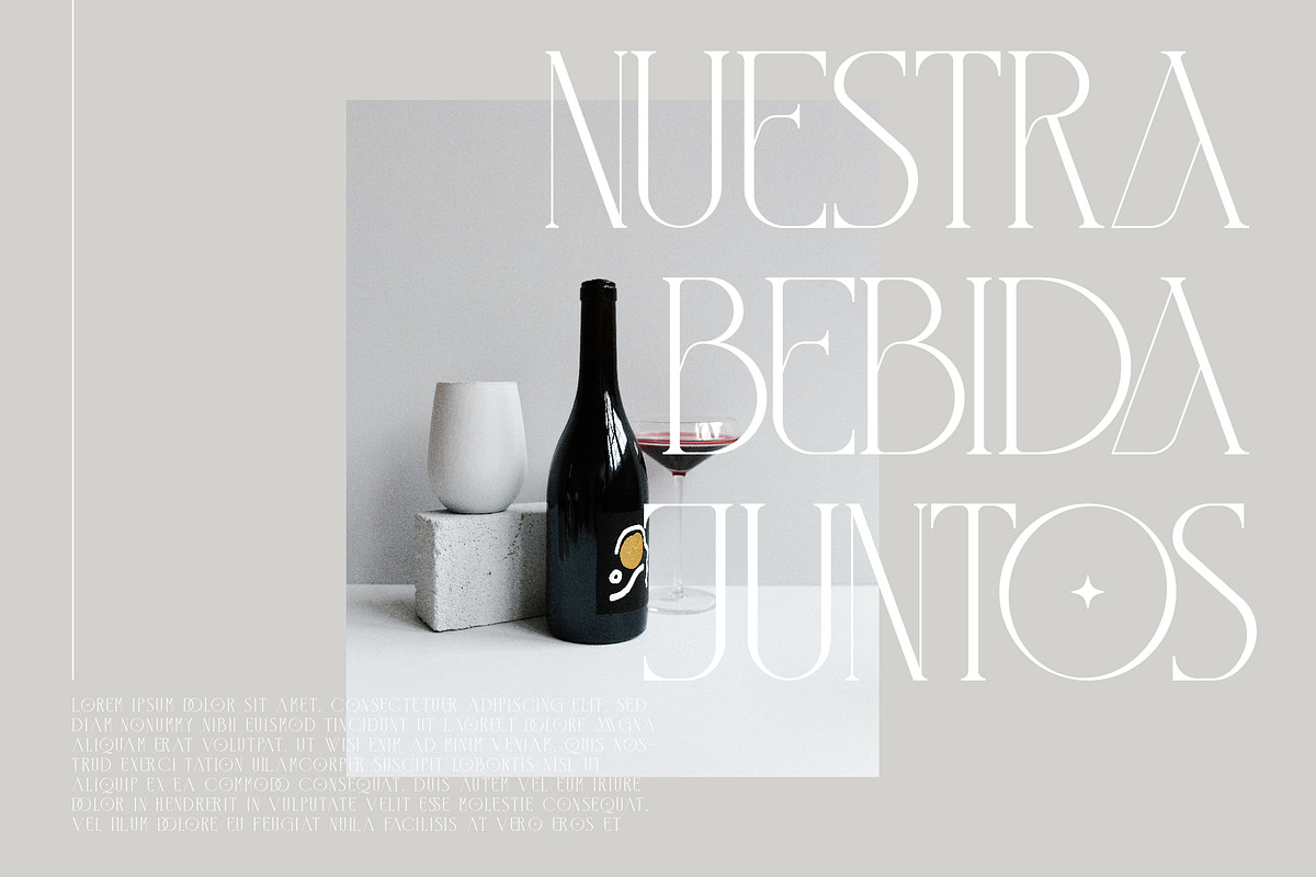 Qalisso Modern Serif Font, a Serif Font by Storytype Studio (Photo 8 of 15)