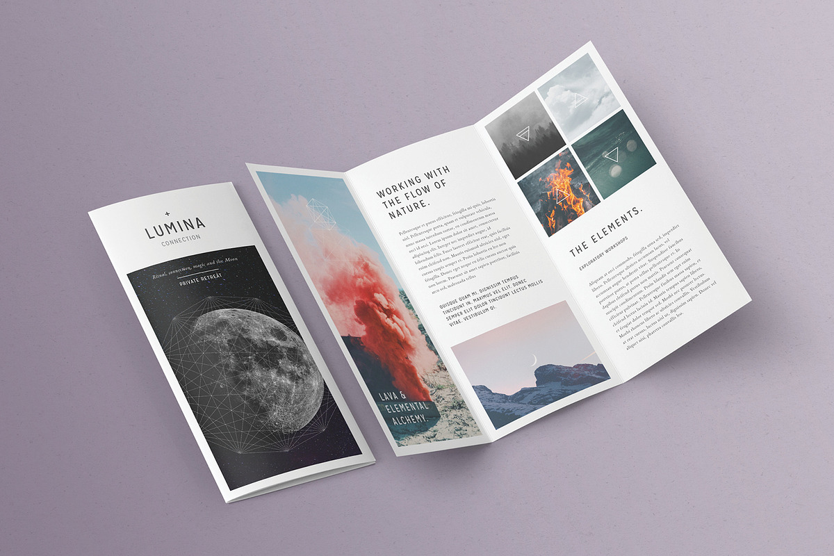 LUMINA Trifold Brochure, a Brochure Template by 46&2 Collective (Photo 6 of 9)