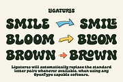 Frostbite Christmas – Groovy Font, a Handwritten Font by Ainun Jinan (Thumbnail 2 of 12)