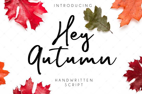 Hey Autumn preview 7