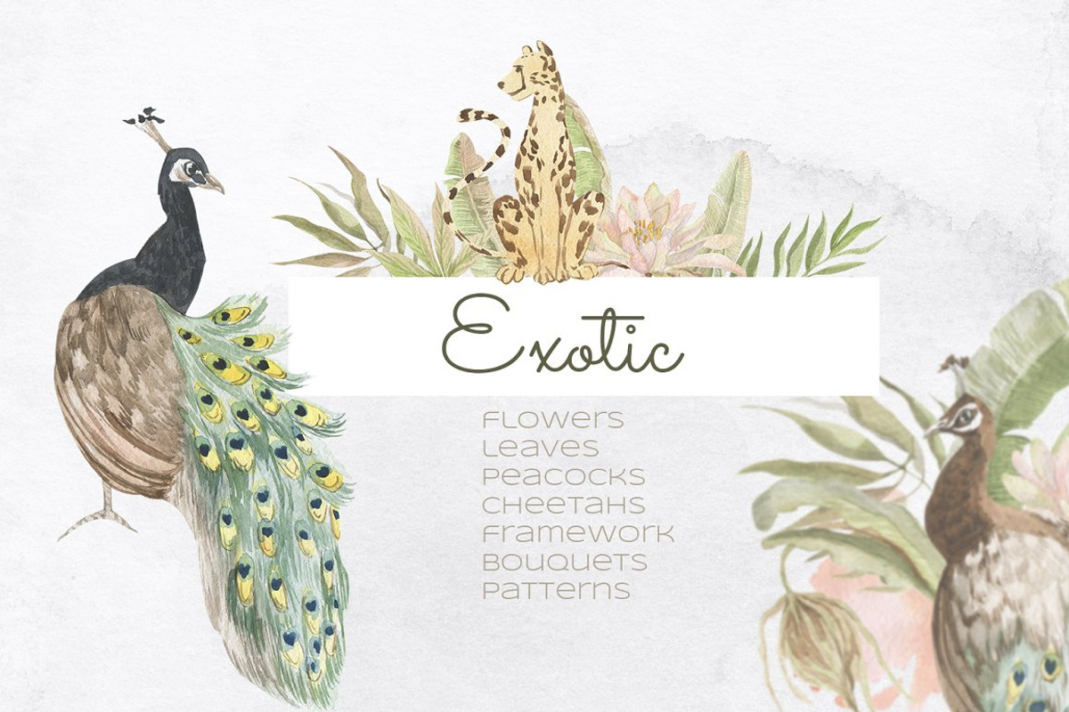 Whole Shop Bundle, an Animal Illustration by Love Watercolor Store (Photo 31 of 38)