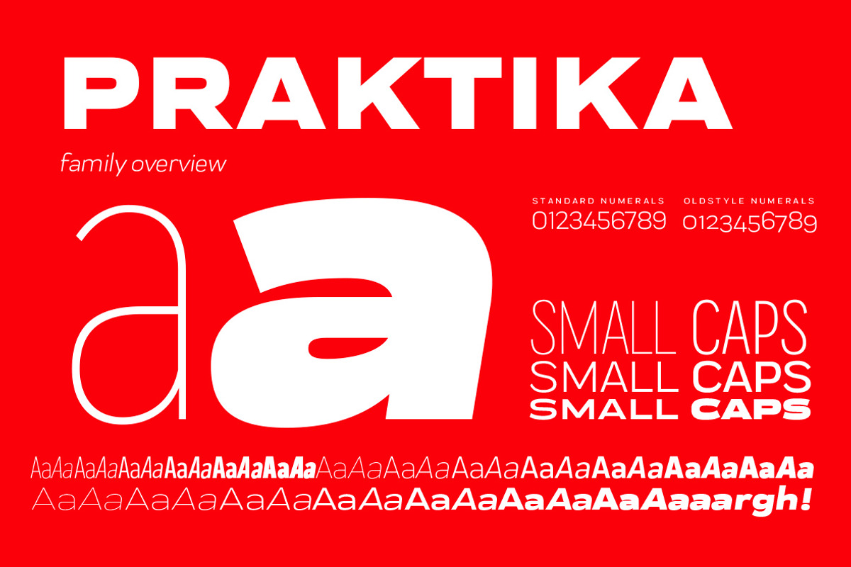 Praktika preview 2