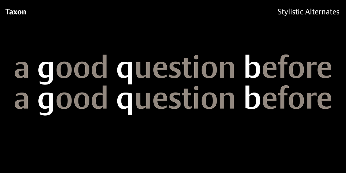 Taxon, a Sans Serif Font by Hoftype (Photo 12 of 15)